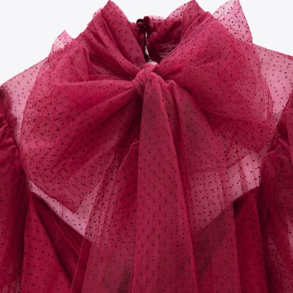 ZARA | Bloggers Fave Tulle Swiss Dot Dress Fuchsia - Picture 12 of 16